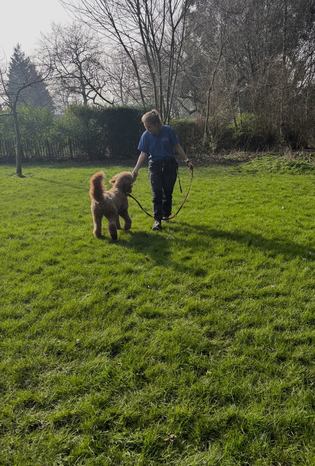 abbie training a dog