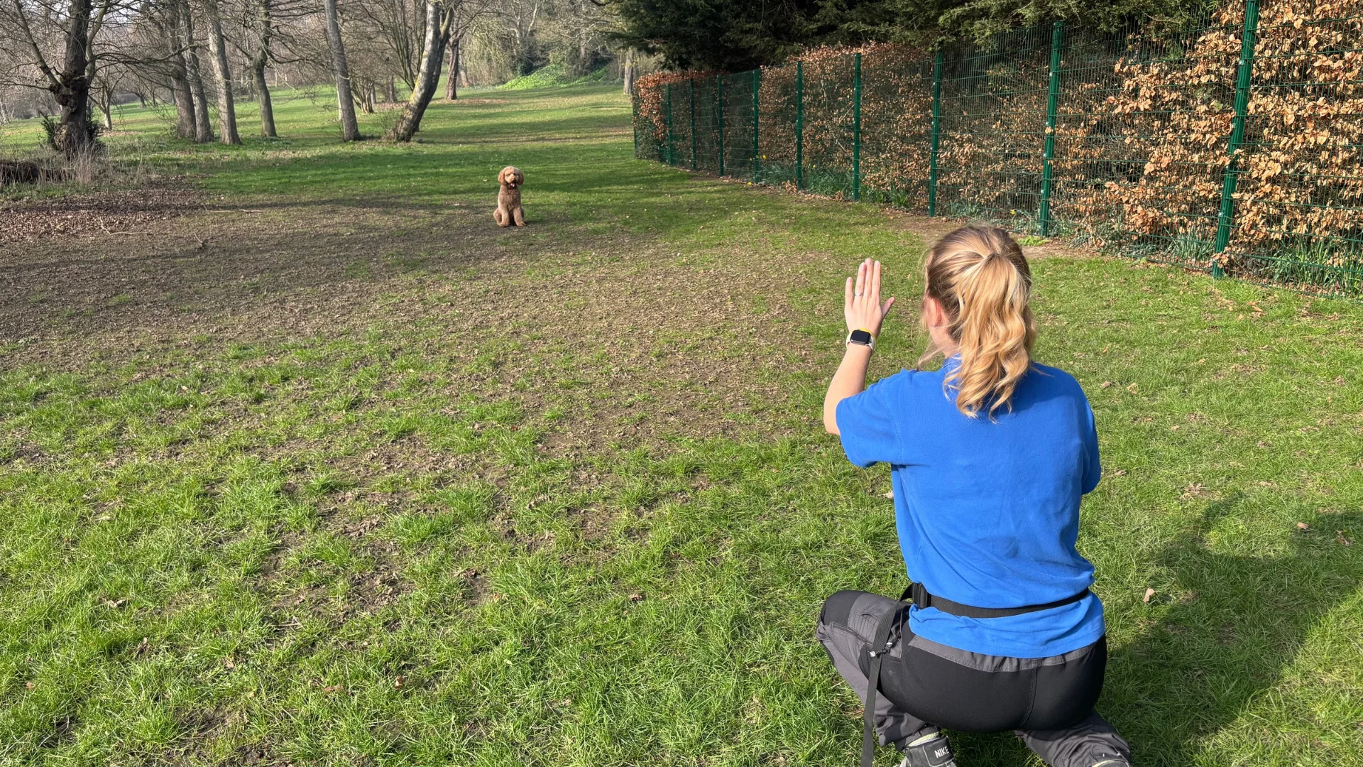 Barkleys Dog Training Academy Behaviour Workshops banner featuring a mantrailing dog