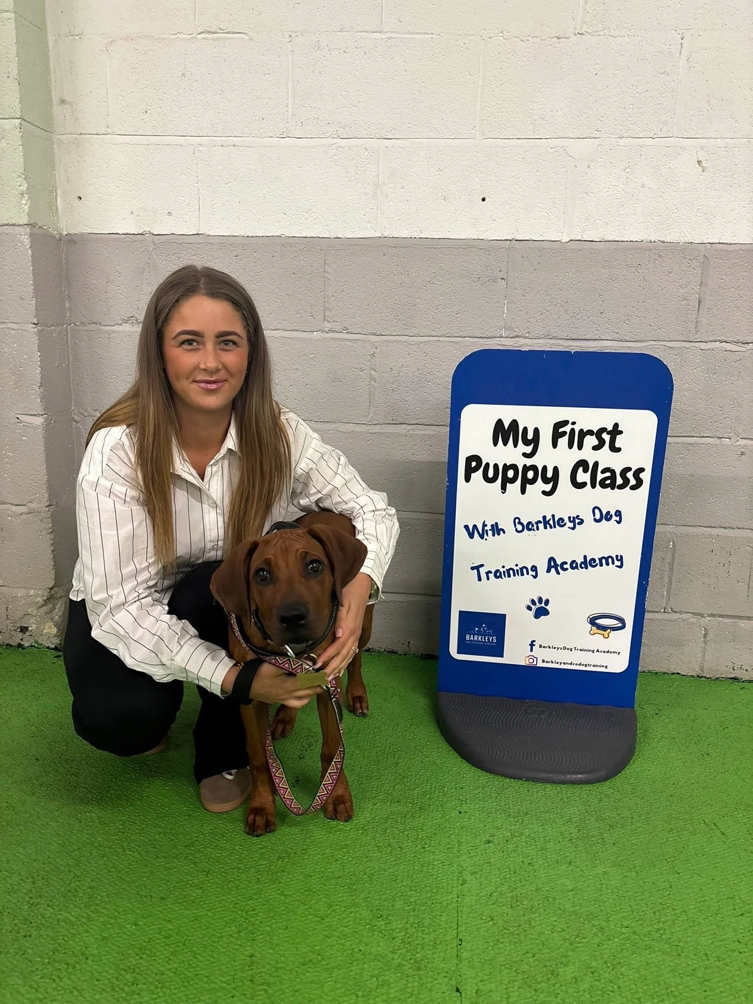 a dog at their first puppy class