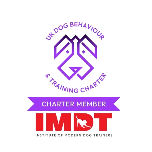 IMDT Charter Logo 2025