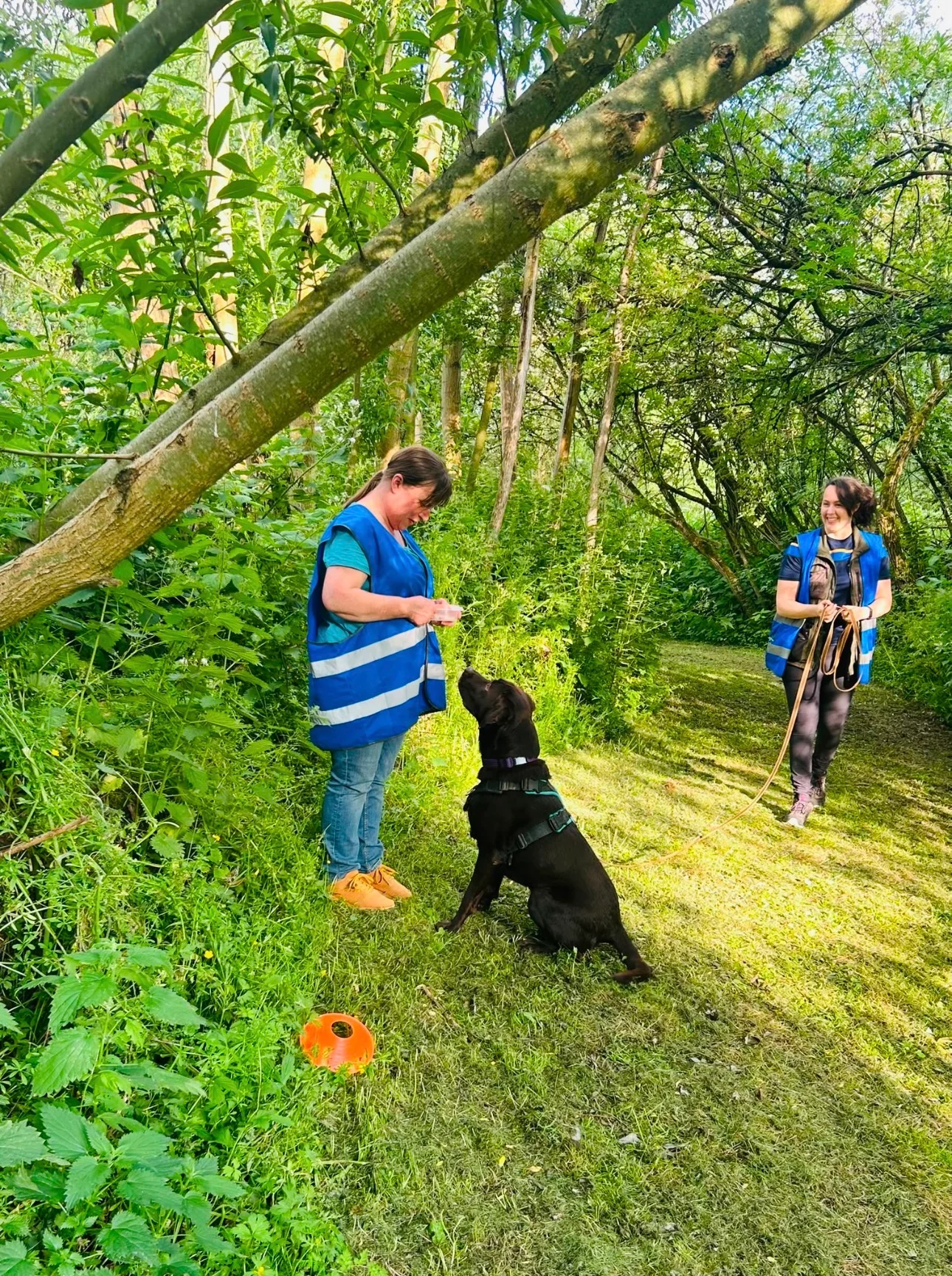 mantrailing photo