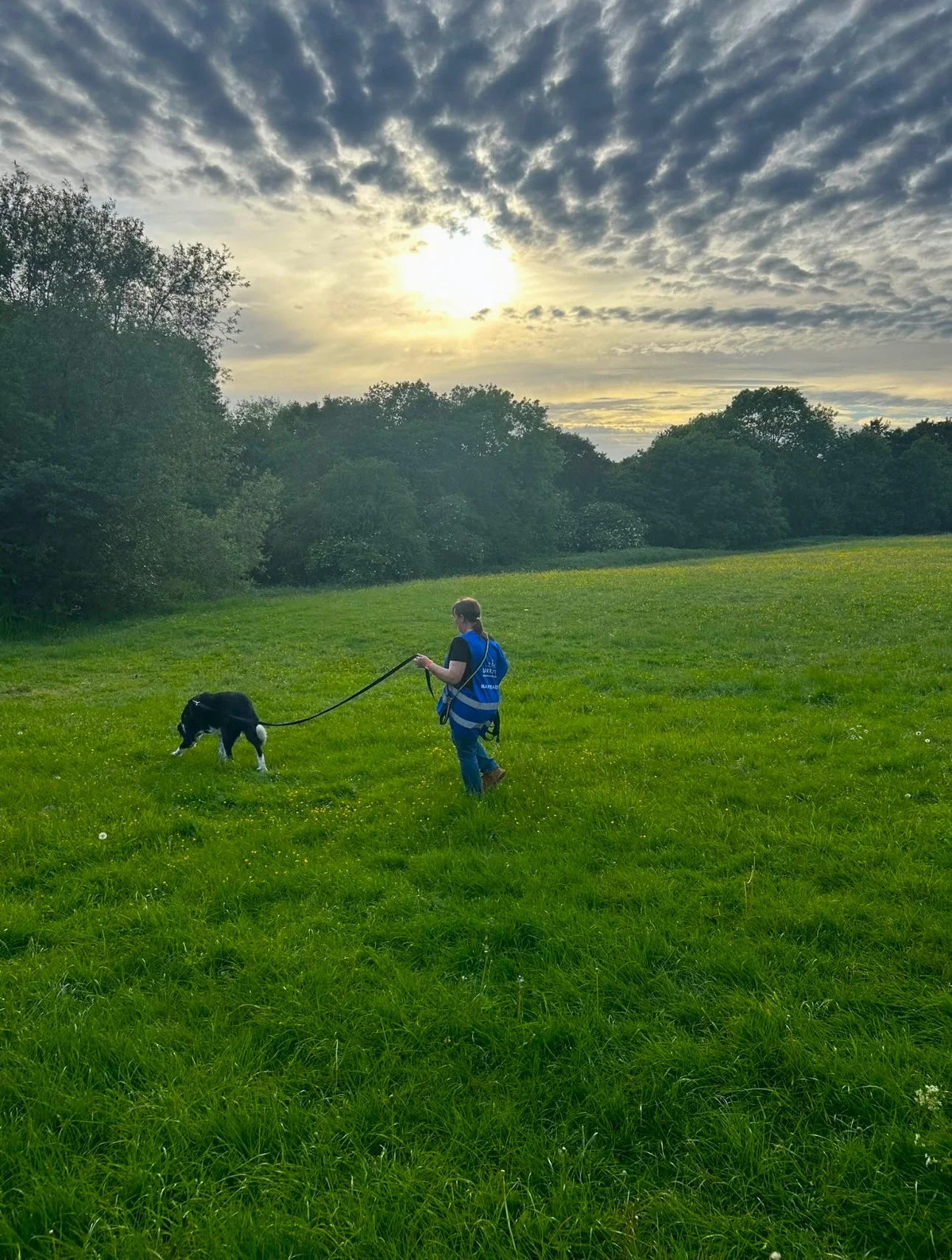 mantrailing photo